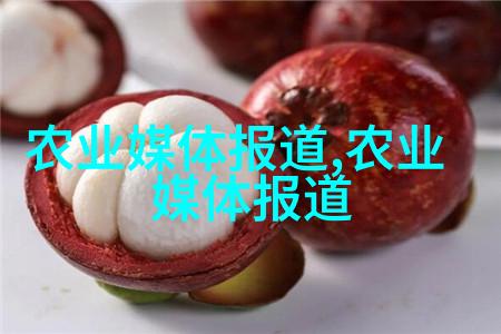 实验室中检查枣籽DNA片段