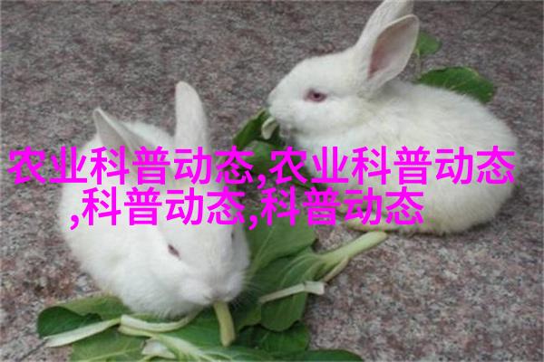 杨梅