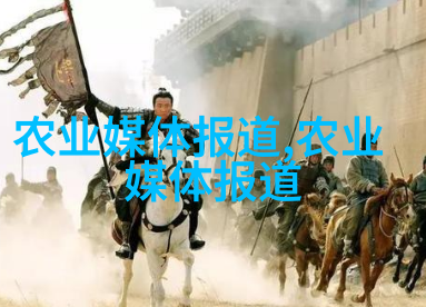 运动房中的健身球树