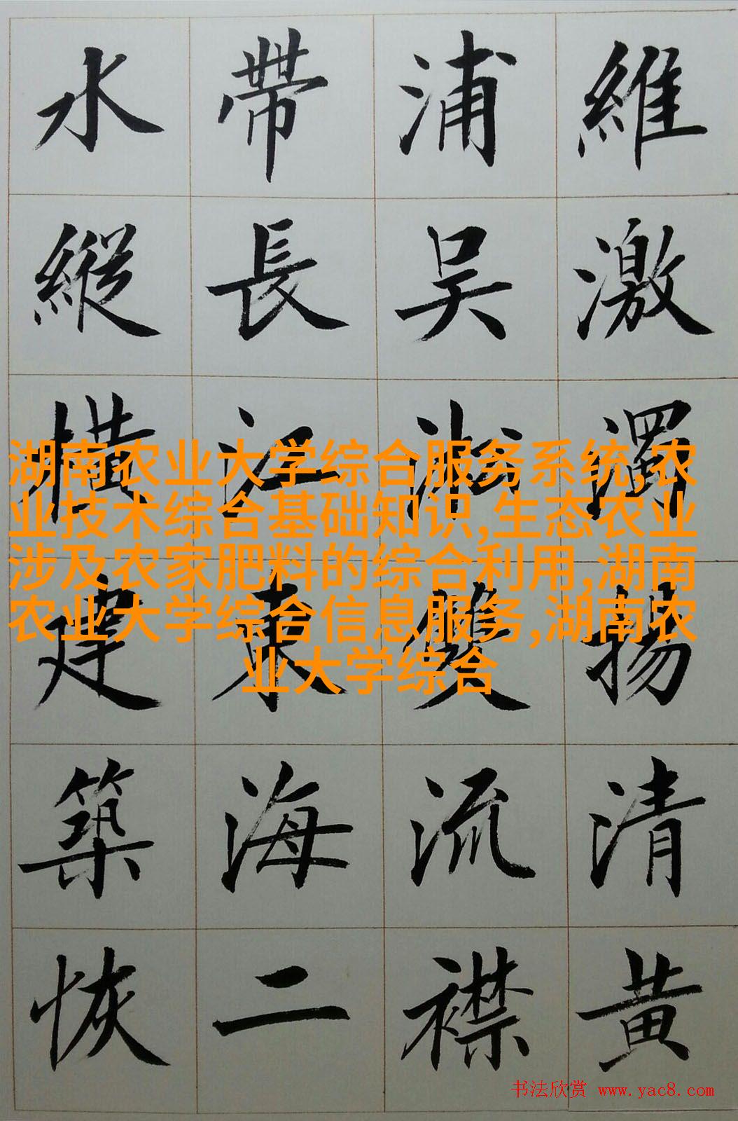 杏树