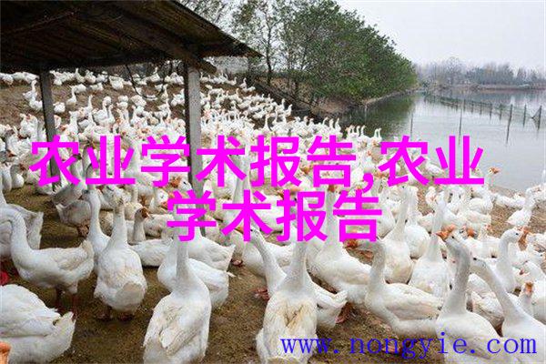 西瓜内脏