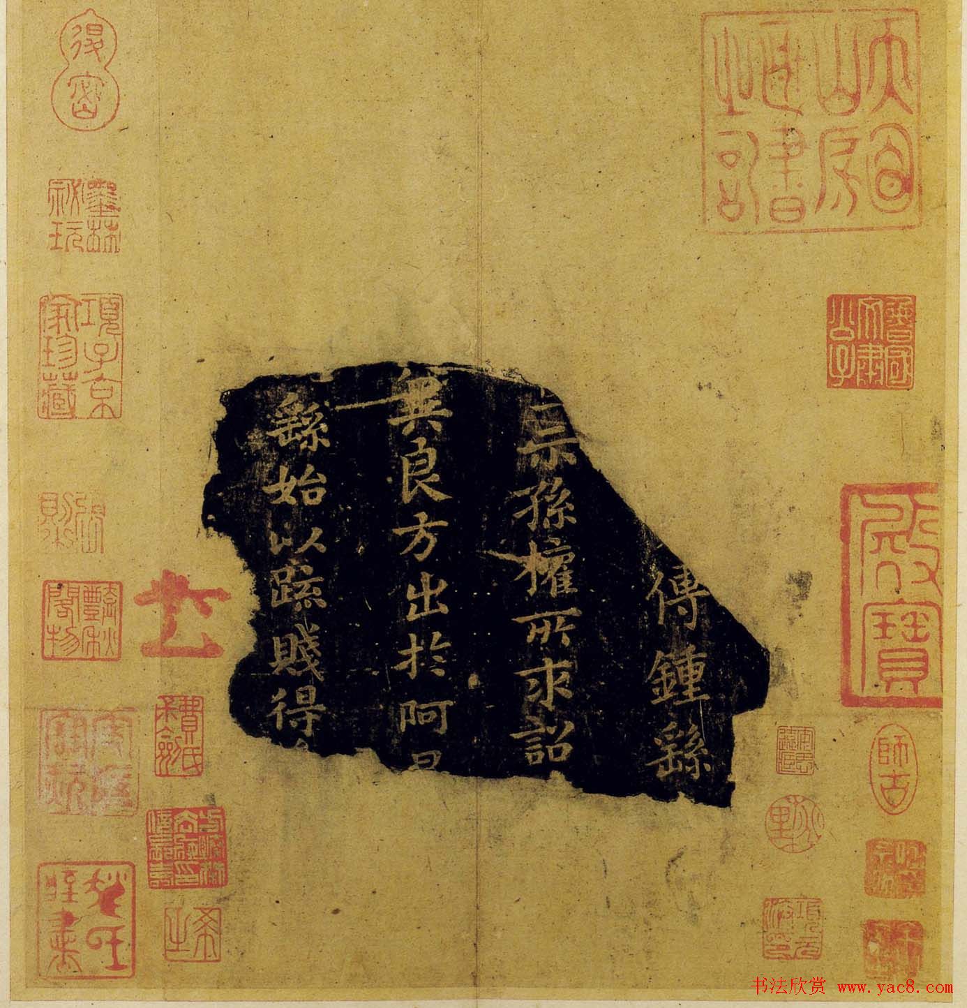 绽放中的桃子