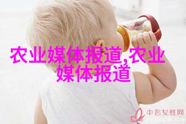 夏日之恋