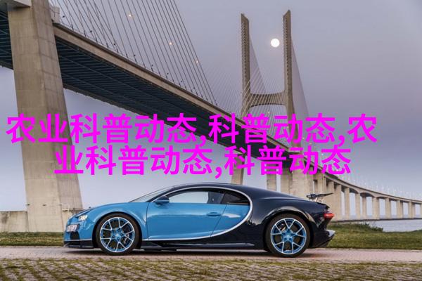 桂林柏