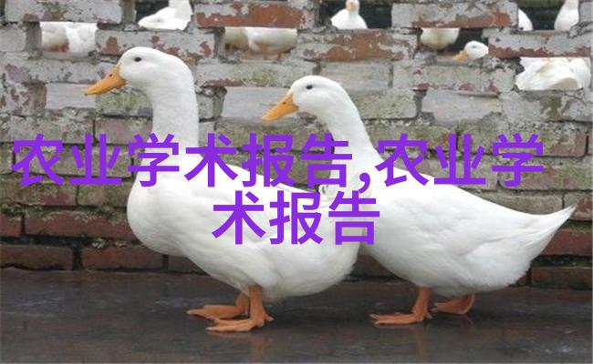 芒笋内脏