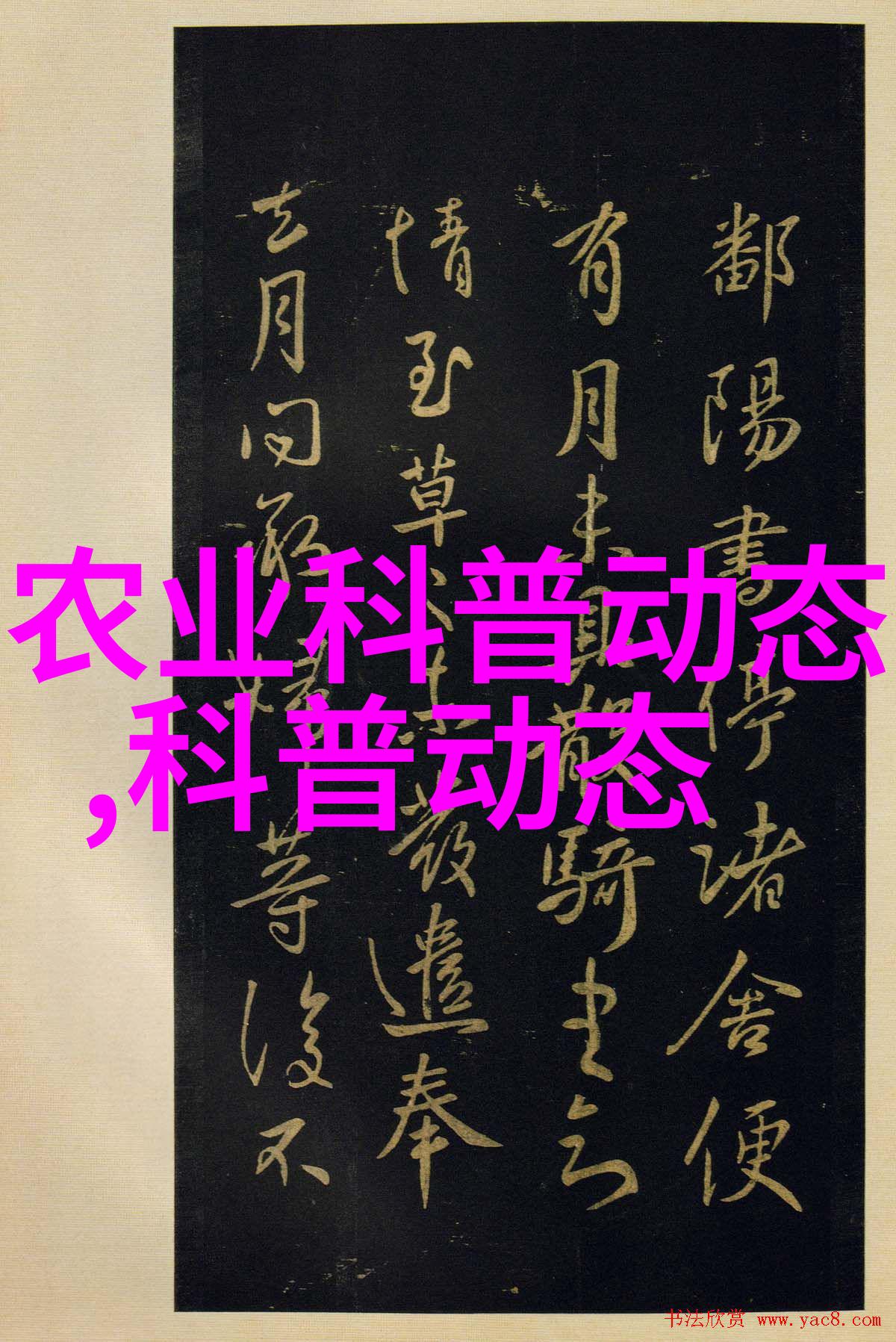 中国农业新闻网_农业图片新闻_新闻农业图片大全