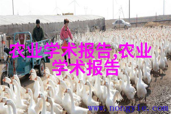 菠萝内脏