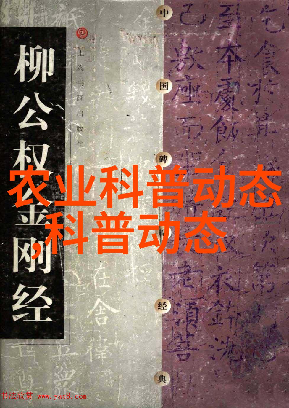 中国农业新闻网_农业图片新闻_新闻农业图片大全