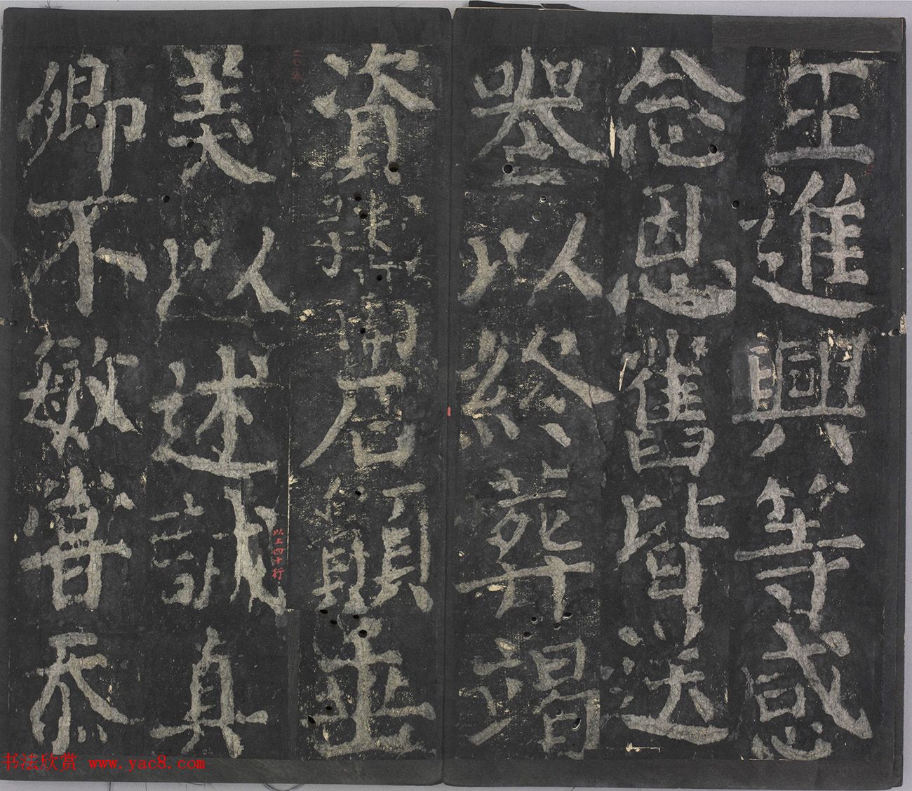 农业科普活动_科普农业活动主题_关于农业科普知识的活动