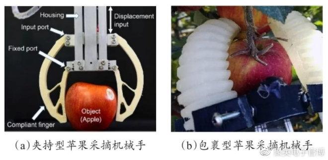 最新思汗农业刘洋动态_农业科普动态_金土地农业科普示范园/