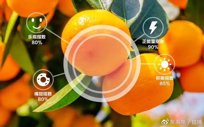 金土地农业科普示范园_最新思汗农业刘洋动态_农业科普动态/