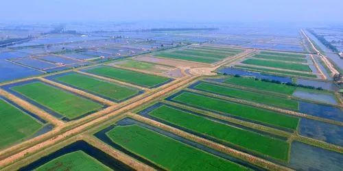 农业新闻稿范文300字_农业综合新闻_农业新闻2021/