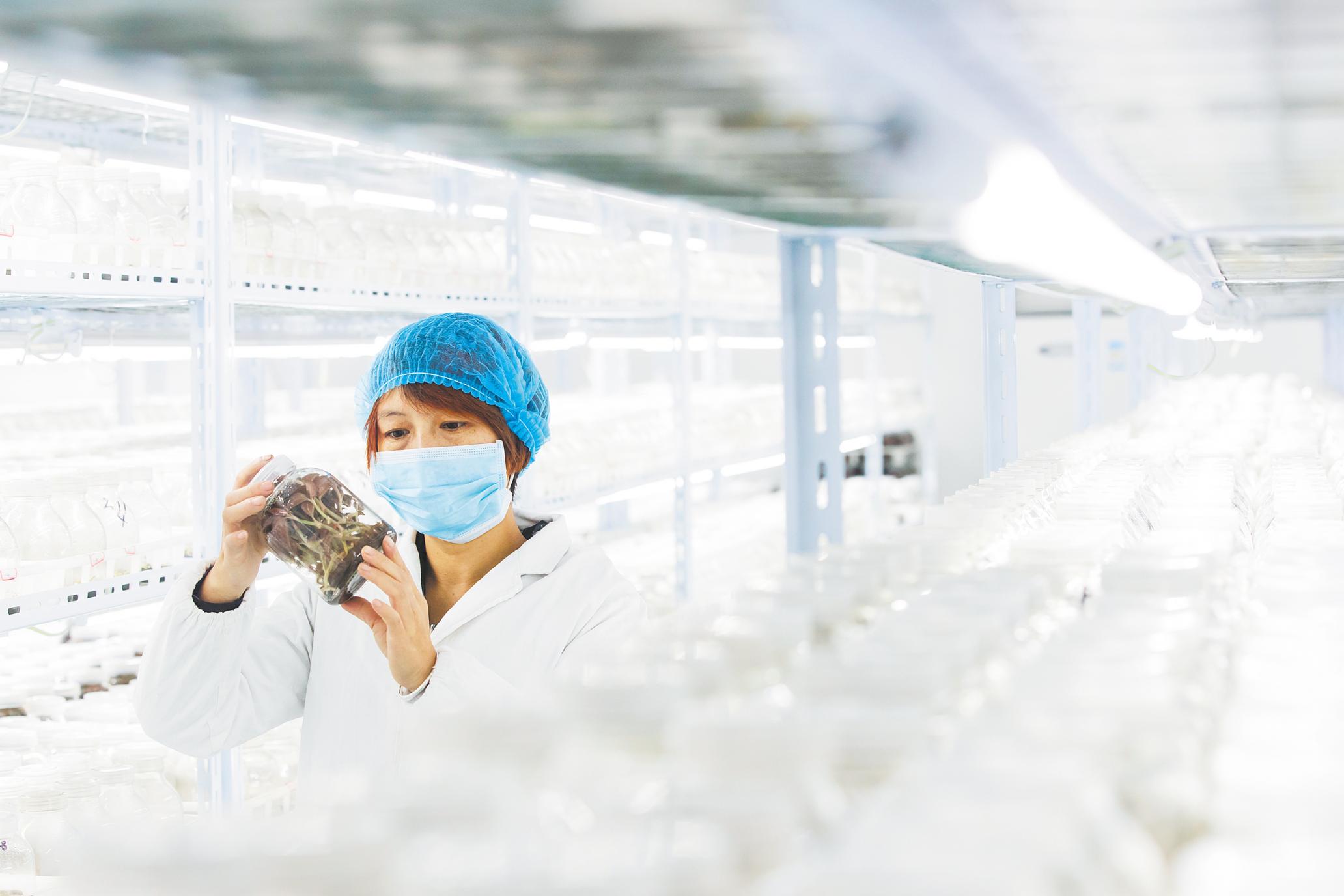 农业科技成果_农业科研成果_农业研究成果/