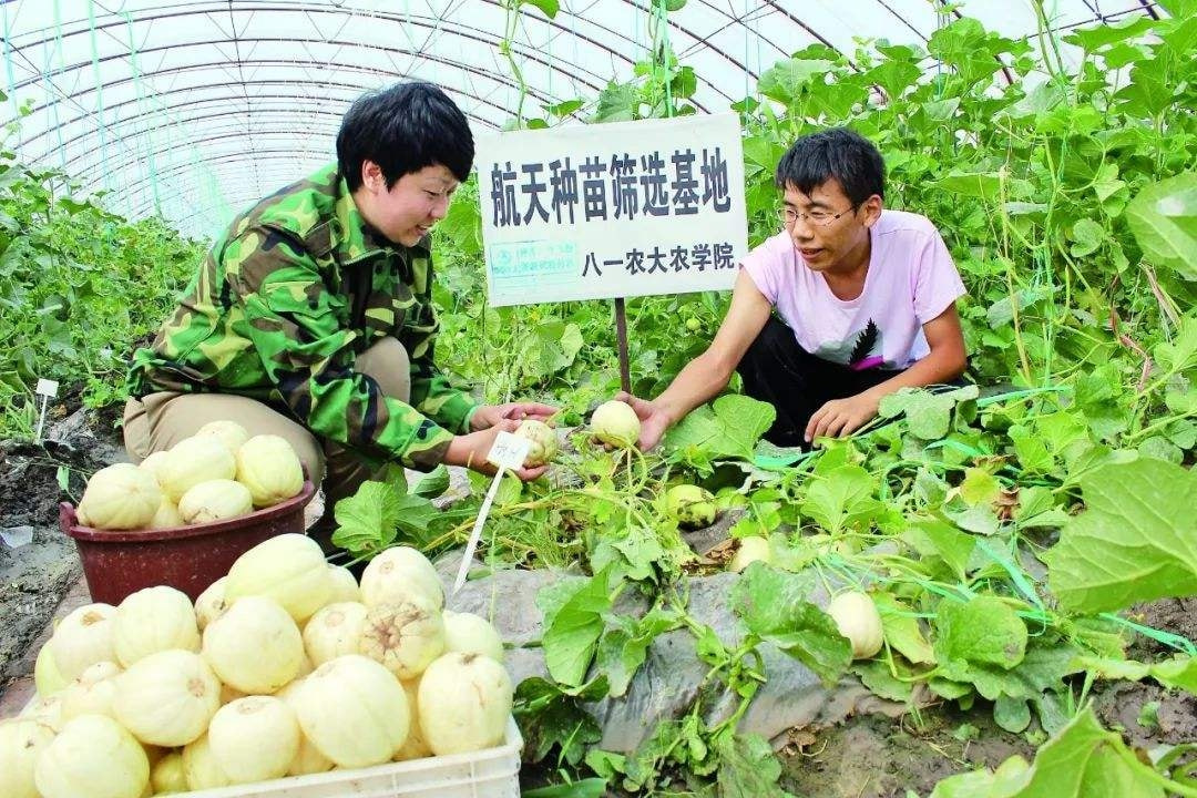 农业科学技术成果_农业科研成果有哪些_农业科研成果/