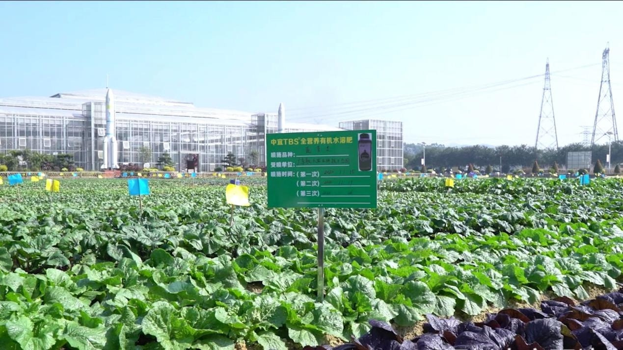 农业科研成果_农业科研成果有哪些_农业科学技术成果/
