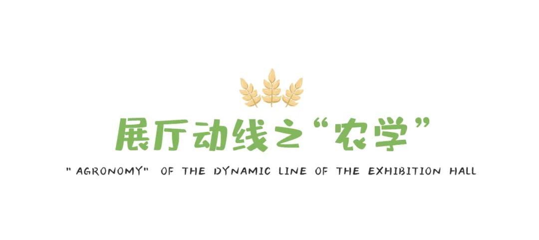 农业科普动态_农业科普知识宣传_农业科普是什么意思/