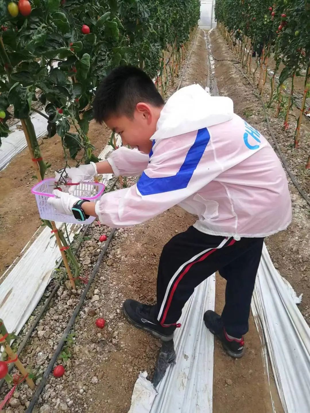 农业科普宣传栏_农业科普动态_农业科普展示内容/