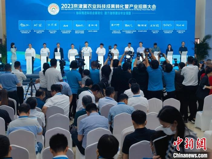 图为签约仪式现场。吕子豪