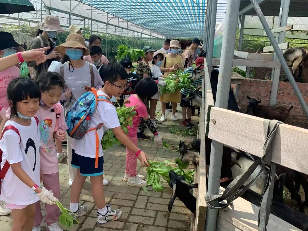 农业科普宣传栏_农业科普动态_农业科普活动/