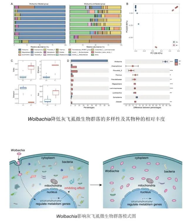 农业研究成果_农业科研项目_农业科研成果/