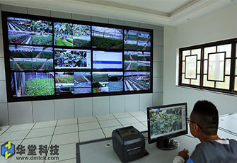 种子发芽观察-高科技农业展示/