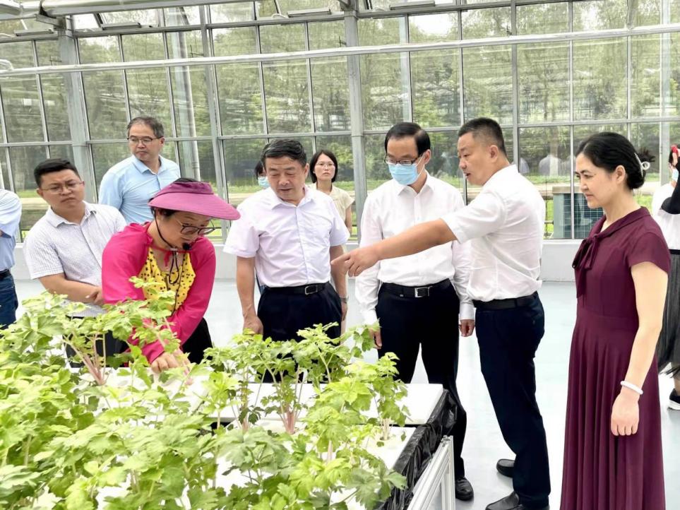 科普口袋书 编委会科普口袋书——解密恐龙真相^^^奇趣小昆虫_先进典型事迹—全国\"科普惠农兴村计划\"科普带头人_农业科普动态