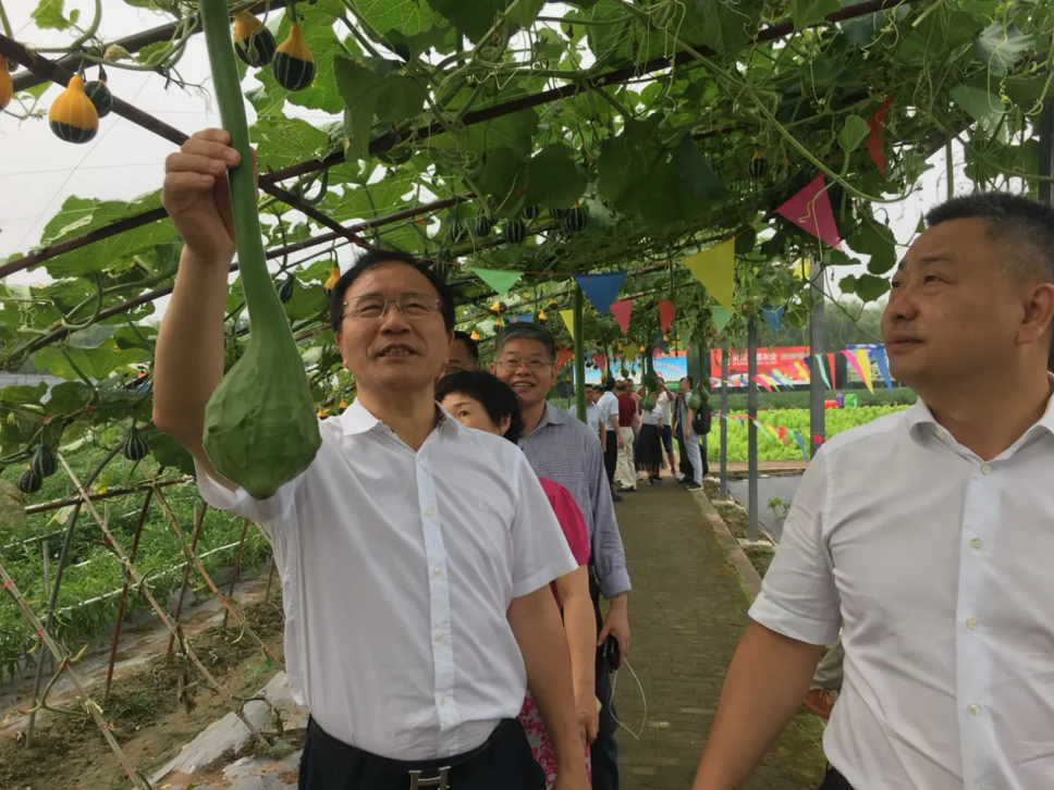 科普口袋书 编委会科普口袋书——解密恐龙真相^^^奇趣小昆虫_先进典型事迹—全国\"科普惠农兴村计划\"科普带头人_农业科普动态