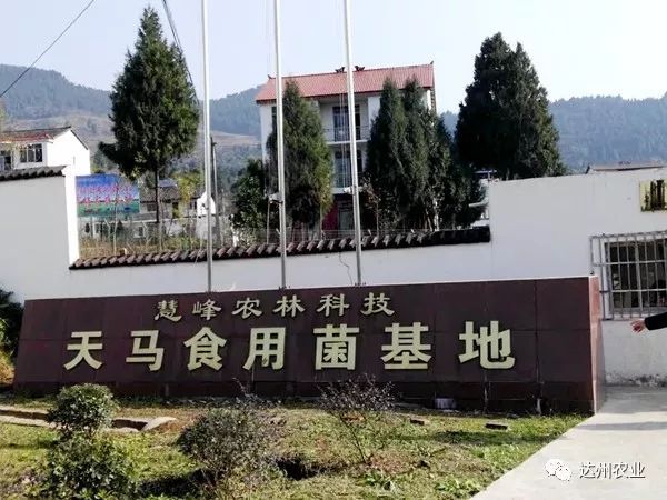 农业科普宣传栏_关于农业的科普宣传标语_农业科普动态/