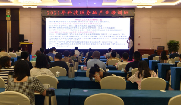 农业综合新闻_临沂新闻综合频道高铁新闻_新闻综合新闻坊主持人